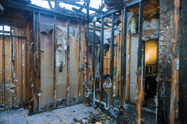 Professional Smoke Damage Removal technician working in Benavides, TX